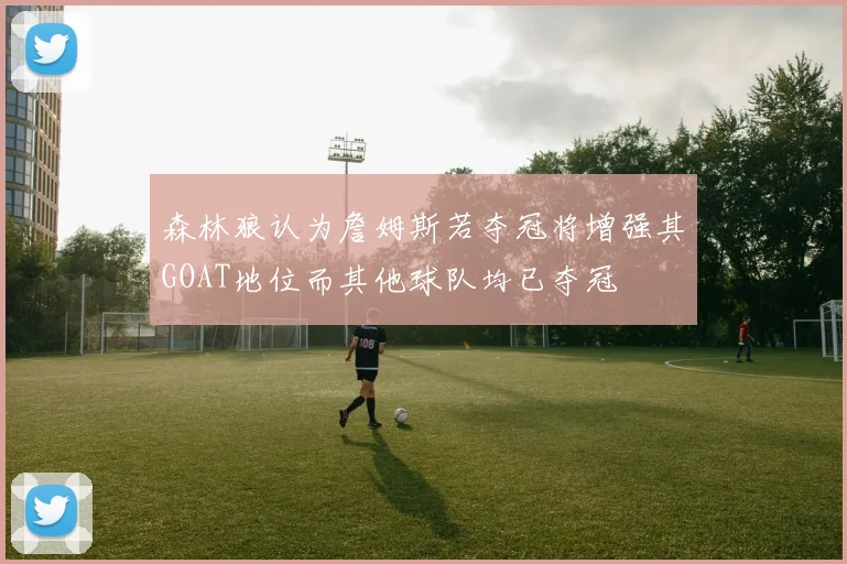 森林狼认为詹姆斯若夺冠将增强其GOAT地位而其他球队均已夺冠